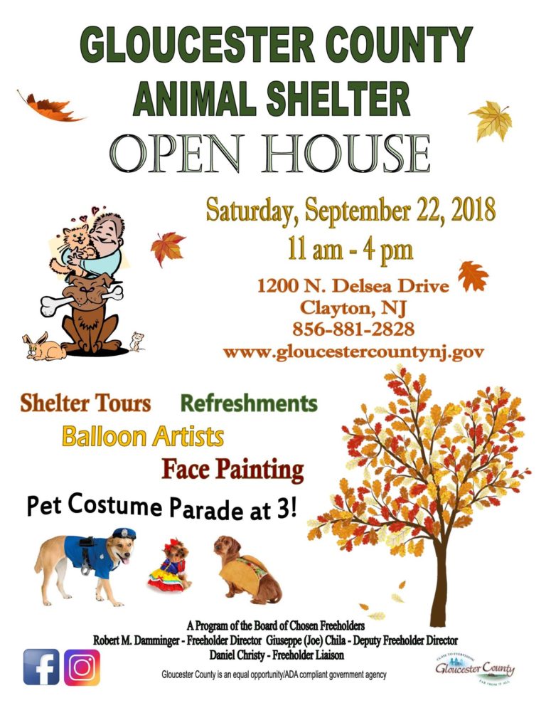 Gloucester County Animal Shelter Open House MidAtlantic Great Dane